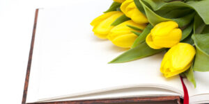 Doubts to learn Dutch