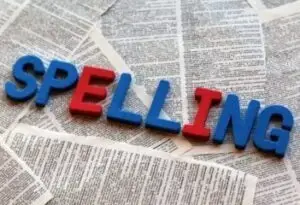 De Nederlandse grammatica