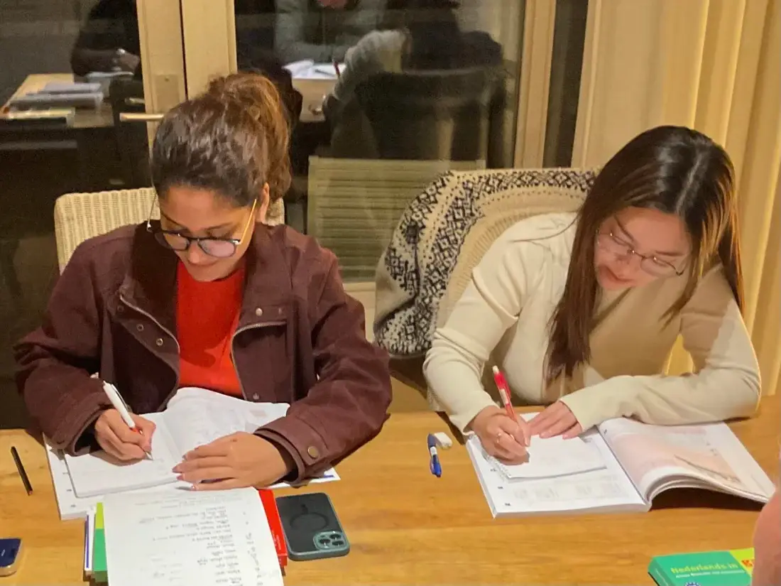 Efficiënt Nederlands leren in jouw tempo